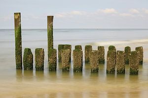 Brise-lames sur la côte néerlandaise