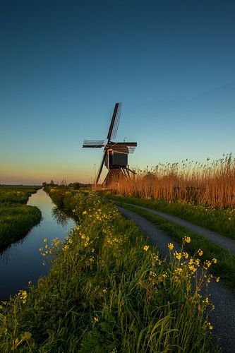 Molen de lente avond
