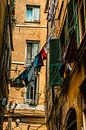 Streets of Genoa van Lima Fotografie thumbnail