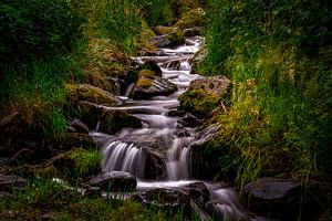 Stampfebächle – Sanfte Kaskaden Wasserfälle in Münstertal - 9