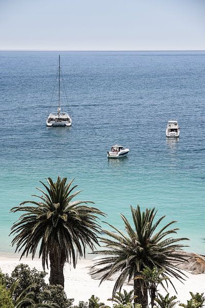Tropical Serenity by Shot by Clint