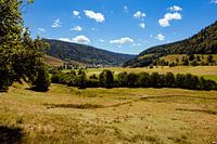 Landschaft im Schwarzwald