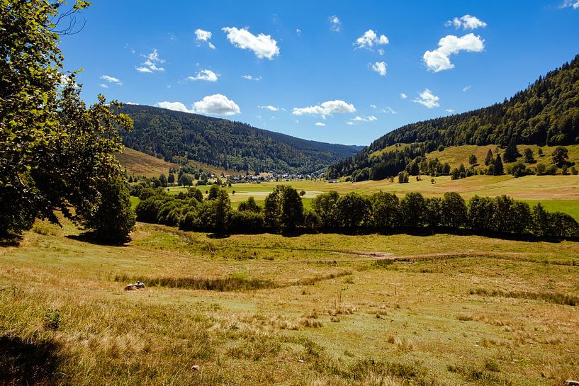 Landscape in the Black Forest by Steven Van Aerschot