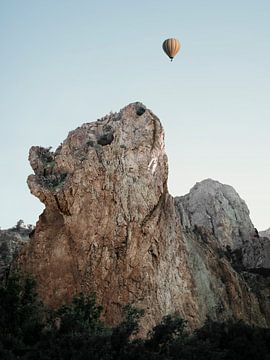 Playful Cat Rock