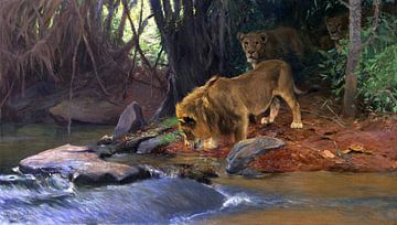 Des lions à la jungle, WILHELM KUHNERT, Um 1911-1912 sur Atelier Liesjes