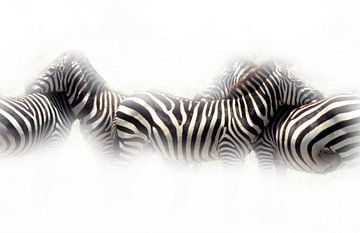 Zebra's van Ronald Wilfred Jansen