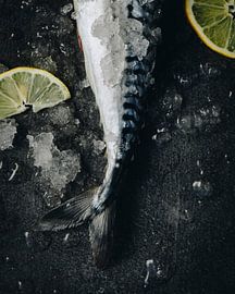 Makreel, 2018 van Sander van der Veen