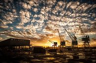 Cranes at Antwerp quays/port by Geert D thumbnail