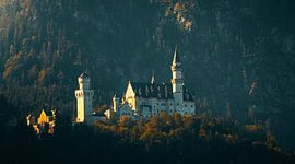 Schloss Neuschwanstein,Deutschland von Bart cocquart