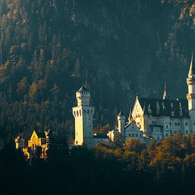 Schloss Neuschwanstein,Deutschland von Bart cocquart