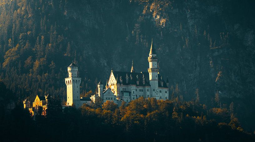 Schloss Neuschwanstein,Deutschland von Bart cocquart