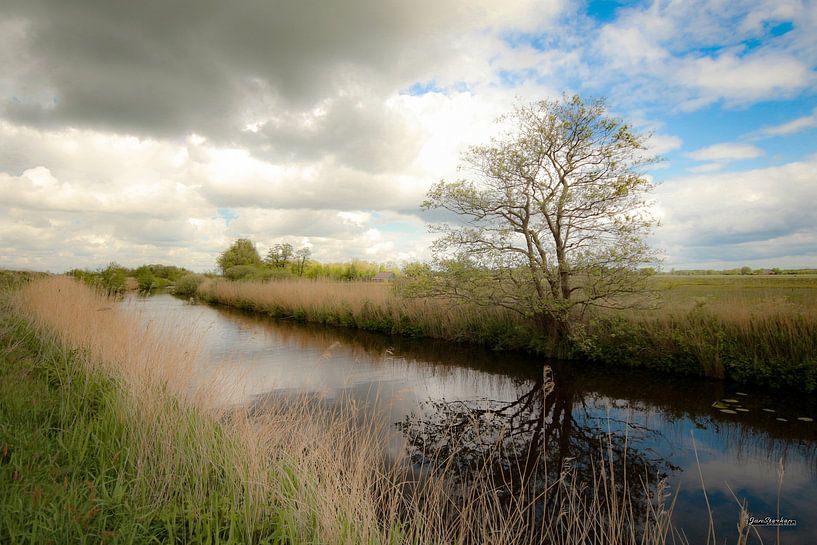 Onlanden par Jan  Sterken
