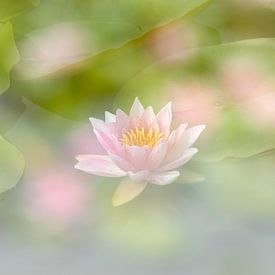 Rêver sur Karla Leeftink