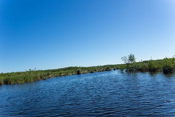 USA, Florida, Luftkissenbootfahrt auf den natürlichen Flüssen und dem Sumpf der Everglades von adventure-photos