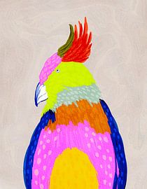 Colorful Macaw by Nikita Jariwala