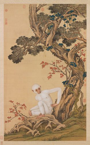 Witte aap, Giuseppe Castiglione