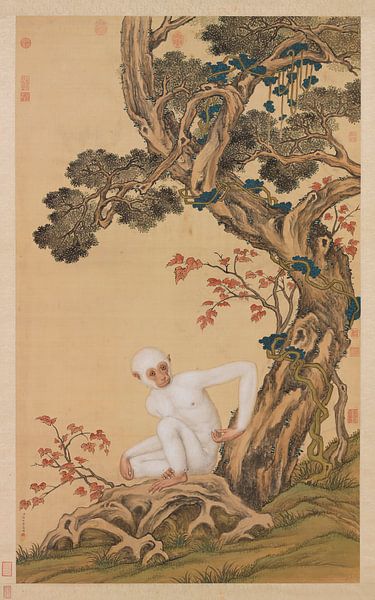 White Ape, Giuseppe Castiglione by Creative Masters Old Masters