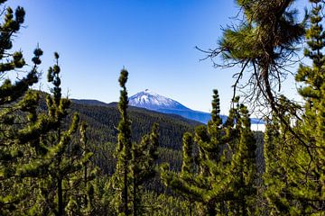 El Teide vulkaan op Tenerife