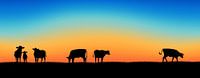 Sonnenuntergang Kühe von Harry Hadders Miniaturansicht