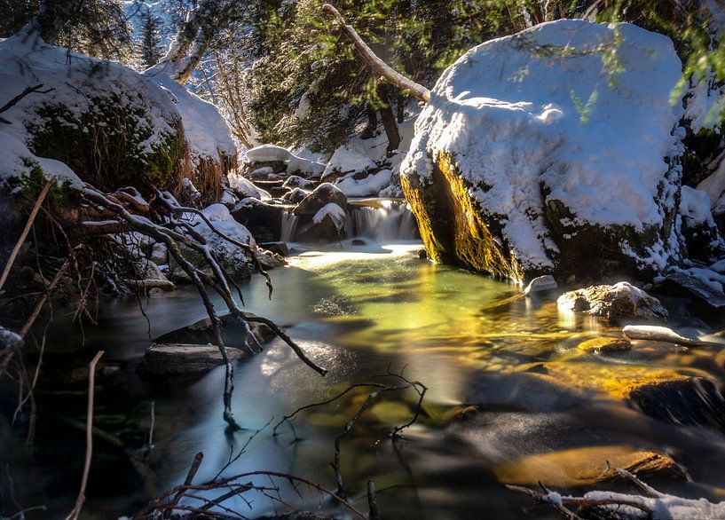 Mountain stream in winter by Alex Neumayer