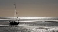 Zonnige herfstmorgen bij eb op de waddenzee.