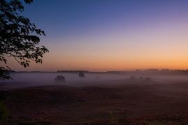 Sonnenaufgang in der Heidelandschaft von Böhne fotografie