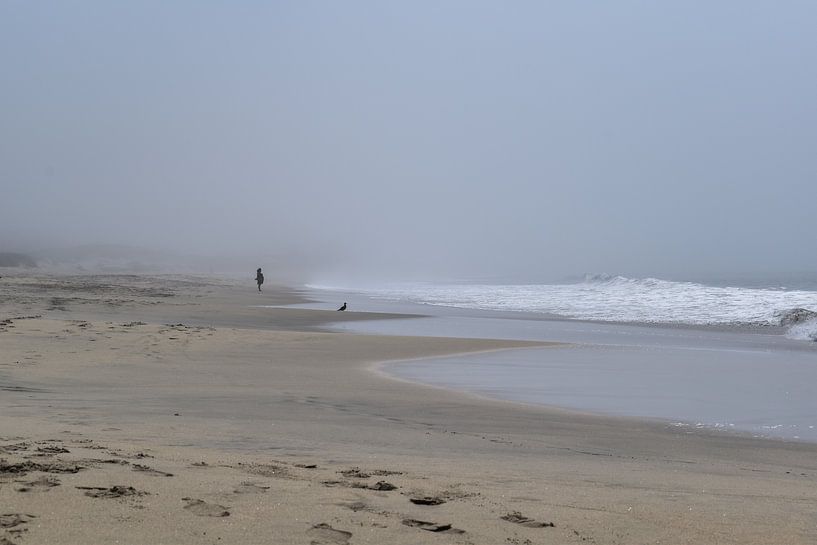 By the sea by Zachary Tell