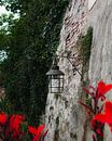 City wall Zaltbommel by Tabitha den Hartog thumbnail