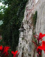 City wall Zaltbommel