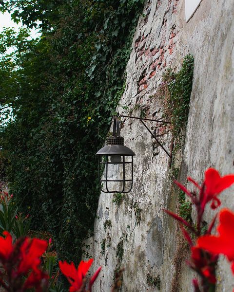 City wall Zaltbommel by Tabitha den Hartog