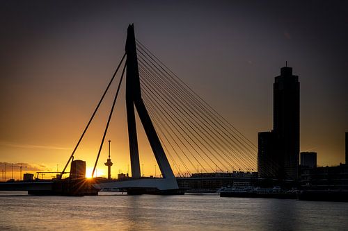 Silhouette Erasmusbrug bij zonsondergang