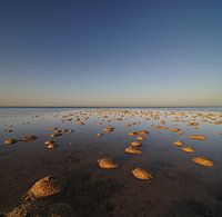 Tiny sand dunes