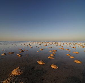 Minuscules dunes de sable sur Martijn Schornagel