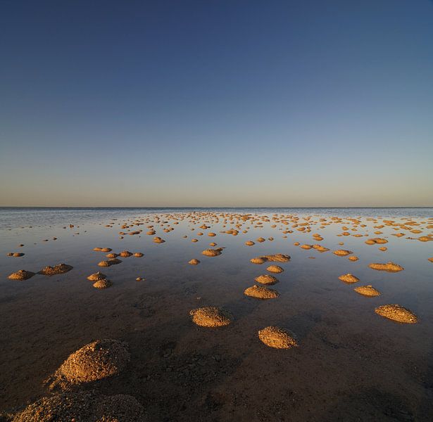 Minuscules dunes de sable par Martijn Schornagel