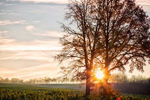 Landschap bij zonsopkomst van Carola Schellekens