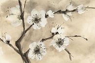 Frühlings-Blüten IV, Chris Paschke von Wild Apple Miniaturansicht