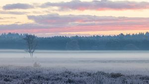 Panorama hivernal sur les landes