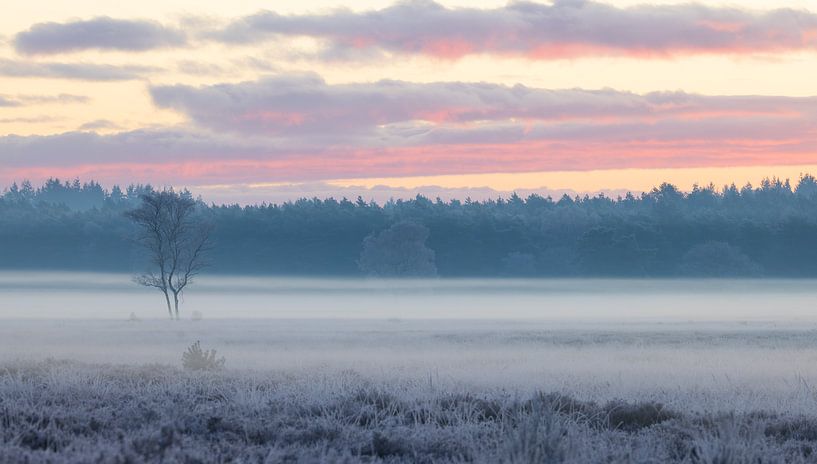 Winter panorama op de heide van Thijs Friederich