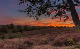 Sonnenuntergang Posbank 2 von Ingrid Kerkhoven Fotografie