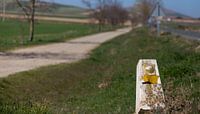 The endless road to Santiago de Compostela