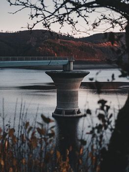 Le plus grand succès en automne