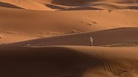 Kameeldrijver in de Sahara.