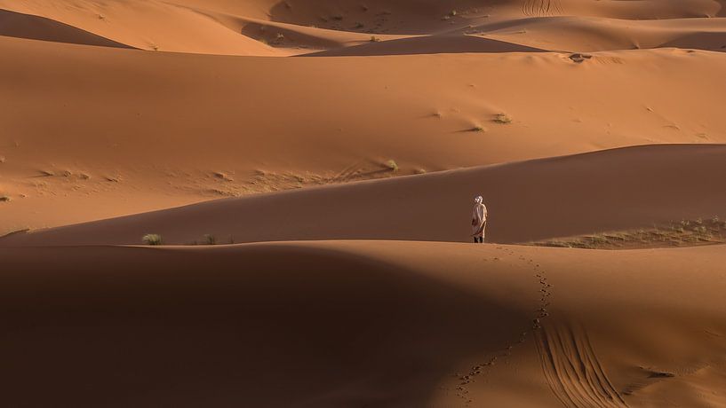Kameeldrijver in de Sahara. van Koos SOHNS   (KoSoZu-Photography)