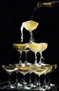 Champagner-Brunnen von David Potter Miniaturansicht