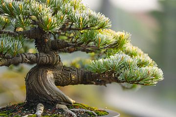 Old bonsai with detailed bark and greenery by Imperial Art House