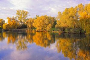 Parc d'or du lac de Fribourg