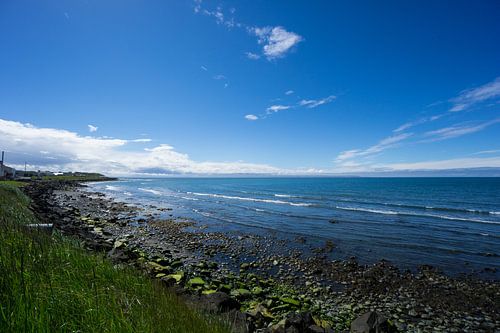 IJsland - Met groen mos bedekte stenen op het strand van Blonduos