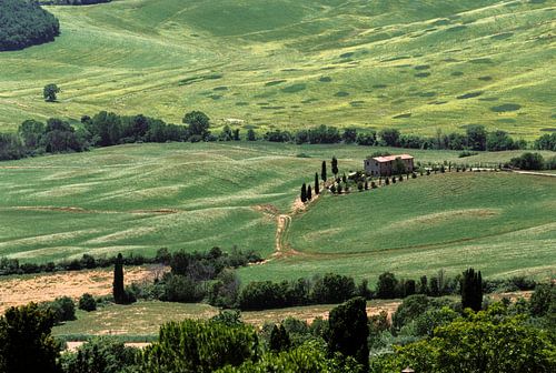 Toscaans landschap Val d'Orcia (Italië)