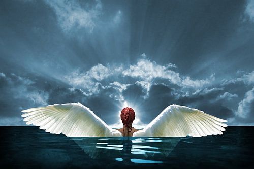 Engel auf Erden - H. Fischer