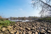 A photo safari through Knoops Park in Bremen at the river Lesum